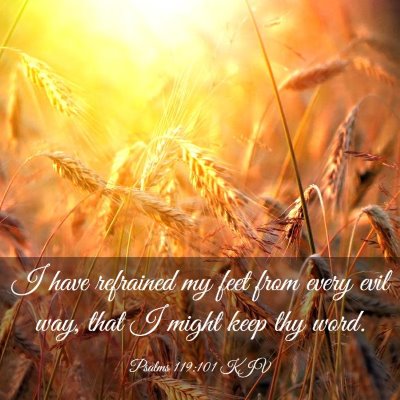 Picture 03 - Psalms 119:101 KJV - I have refrained my feet from every evil way, - Bible Verse Picture