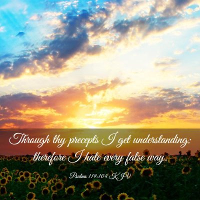 Picture 03 - Psalms 119:104 KJV - Through thy precepts I get understanding: - Bible Verse Picture