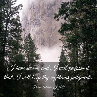 Picture 03 - Psalms 119:106 KJV - I have sworn, and I will perform it, that I will - Bible Verse Picture