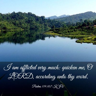Picture 03 - Psalms 119:107 KJV - I am afflicted very much: quicken me, O LORD, - Bible Verse Picture