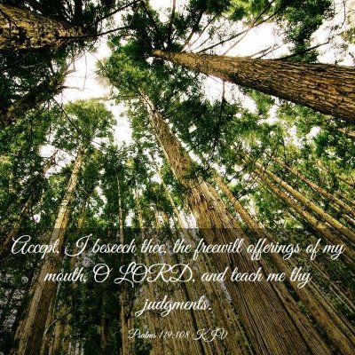 Picture 03 - Psalms 119:108 KJV - Accept, I beseech thee, the freewill offerings of - Bible Verse Picture