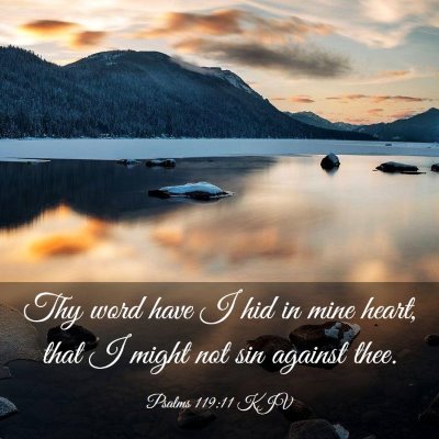Picture 03 - Psalms 119:11 KJV - Thy word have I hid in mine heart, that I might - Bible Verse Picture