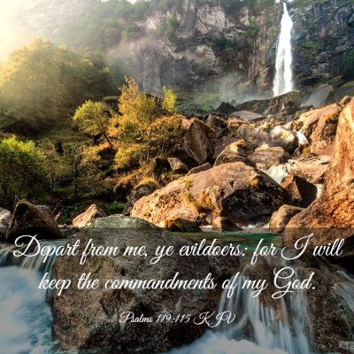 Picture 03 - Psalms 119:115 KJV - Depart from me, ye evildoers: for I will keep the - Bible Verse Picture