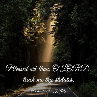 Picture 03 - Psalms 119:12 KJV - Blessed art thou, O LORD: teach me thy - Bible Verse Picture