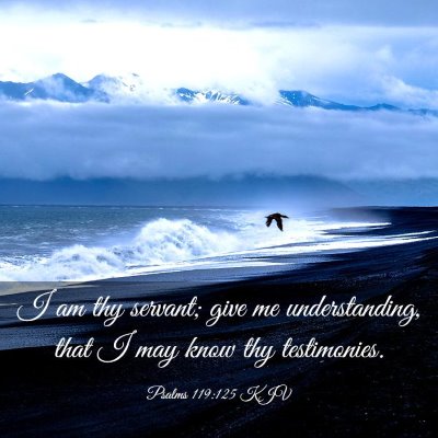 Picture 03 - Psalms 119:125 KJV - I am thy servant; give me understanding, that I - Bible Verse Picture