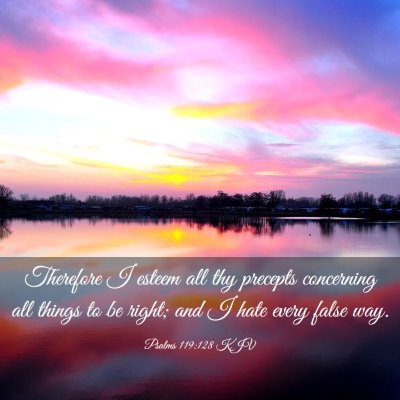Picture 03 - Psalms 119:128 KJV - Therefore I esteem all thy precepts concerning - Bible Verse Picture