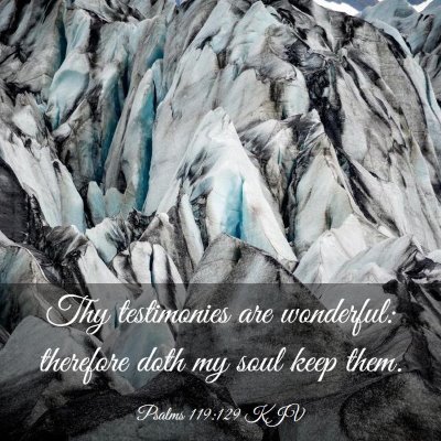 Picture 03 - Psalms 119:129 KJV - Thy testimonies are wonderful: therefore doth my - Bible Verse Picture