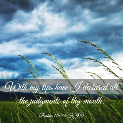 Picture 03 - Psalms 119:13 KJV - With my lips have I declared all the judgments of - Bible Verse Picture