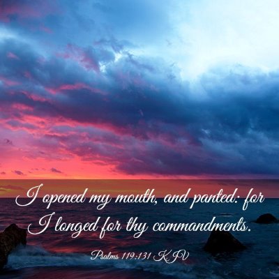 Picture 03 - Psalms 119:131 KJV - I opened my mouth, and panted: for I longed for - Bible Verse Picture