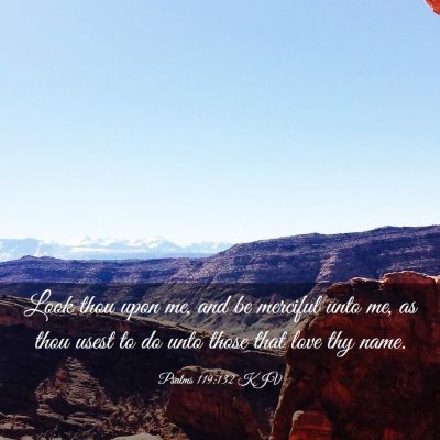 Picture 03 - Psalms 119:132 KJV - Look thou upon me, and be merciful unto me, as - Bible Verse Picture