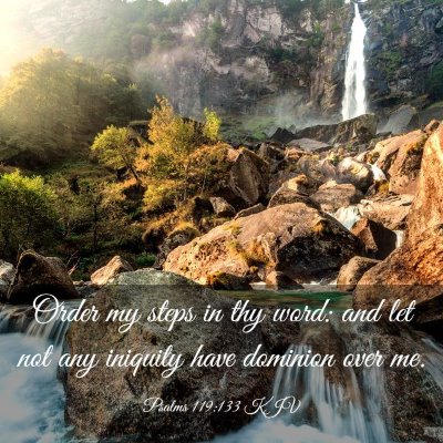 Picture 03 - Psalms 119:133 KJV - Order my steps in thy word: and let not any - Bible Verse Picture