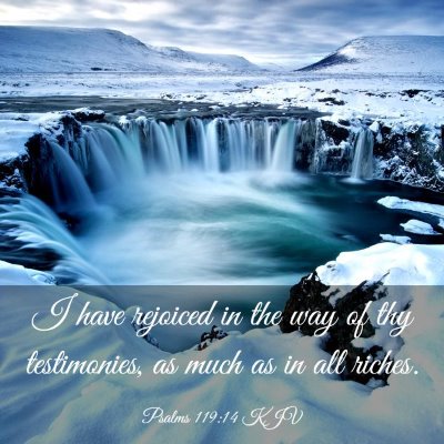 Picture 03 - Psalms 119:14 KJV - I have rejoiced in the way of thy testimonies, as - Bible Verse Picture