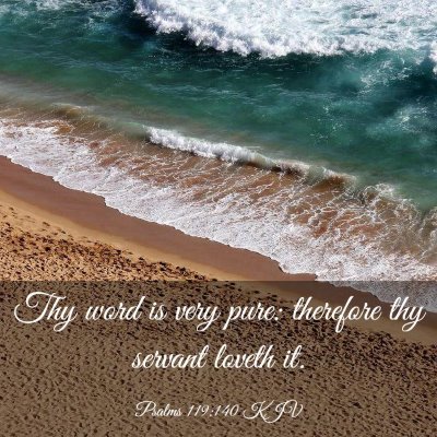 Picture 03 - Psalms 119:140 KJV - Thy word is very pure: therefore thy servant - Bible Verse Picture
