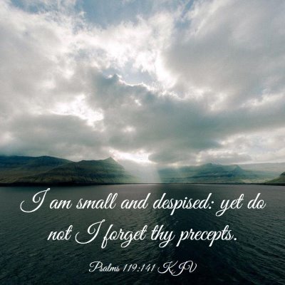 Picture 03 - Psalms 119:141 KJV - I am small and despised: yet do not I forget thy - Bible Verse Picture