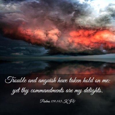 Picture 03 - Psalms 119:143 KJV - Trouble and anguish have taken hold on me: yet - Bible Verse Picture