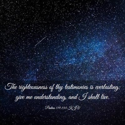 Picture 03 - Psalms 119:144 KJV - The righteousness of thy testimonies is - Bible Verse Picture