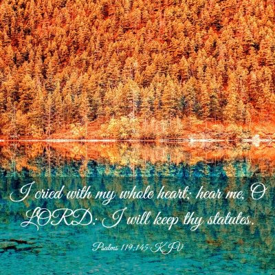 Picture 03 - Psalms 119:145 KJV - I cried with my whole heart; hear me, O LORD: I - Bible Verse Picture
