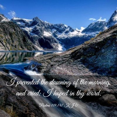 Picture 03 - Psalms 119:147 KJV - I prevented the dawning of the morning, and - Bible Verse Picture