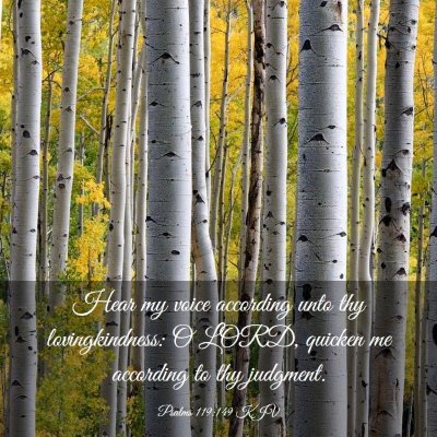 Picture 03 - Psalms 119:149 KJV - Hear my voice according unto thy lovingkindness: - Bible Verse Picture
