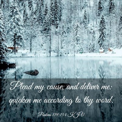Picture 03 - Psalms 119:154 KJV - Plead my cause, and deliver me: quicken me - Bible Verse Picture