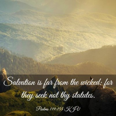Picture 03 - Psalms 119:155 KJV - Salvation is far from the wicked: for they seek - Bible Verse Picture