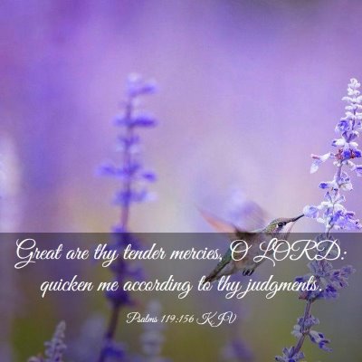 Picture 03 - Psalms 119:156 KJV - Great are thy tender mercies, O LORD: quicken me - Bible Verse Picture