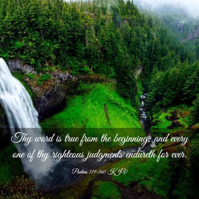 Picture 03 - Psalms 119:160 KJV - Thy word is true from the beginning: and every - Bible Verse Picture