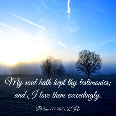 Picture 03 - Psalms 119:167 KJV - My soul hath kept thy testimonies; and I love - Bible Verse Picture