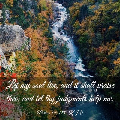 Picture 03 - Psalms 119:175 KJV - Let my soul live, and it shall praise thee; and - Bible Verse Picture