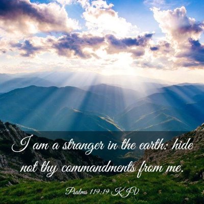 Picture 03 - Psalms 119:19 KJV - I am a stranger in the earth: hide not thy - Bible Verse Picture