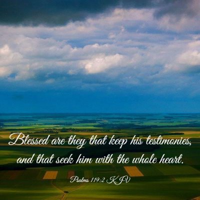 Picture 03 - Psalms 119:2 KJV - Blessed are they that keep his testimonies, and - Bible Verse Picture