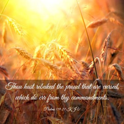 Picture 03 - Psalms 119:21 KJV - Thou hast rebuked the proud that are cursed, - Bible Verse Picture