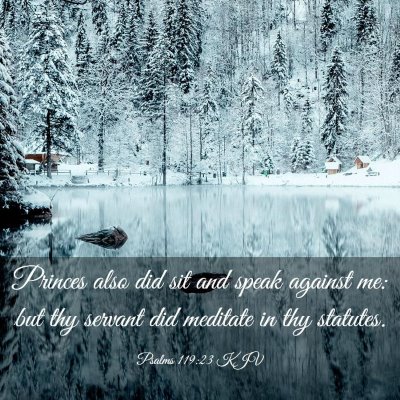 Picture 03 - Psalms 119:23 KJV - Princes also did sit and speak against me: but - Bible Verse Picture