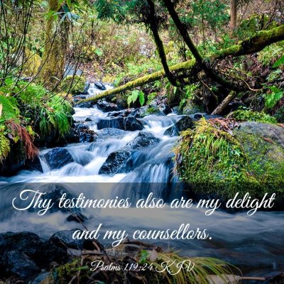Picture 03 - Psalms 119:24 KJV - Thy testimonies also are my delight and my - Bible Verse Picture