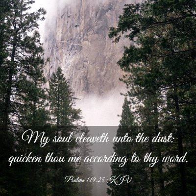 Picture 03 - Psalms 119:25 KJV - My soul cleaveth unto the dust: quicken thou me - Bible Verse Picture
