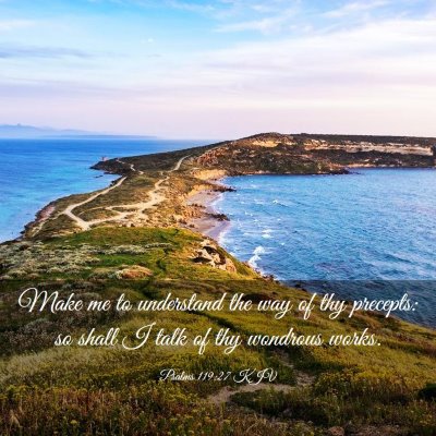 Picture 03 - Psalms 119:27 KJV - Make me to understand the way of thy precepts: so - Bible Verse Picture