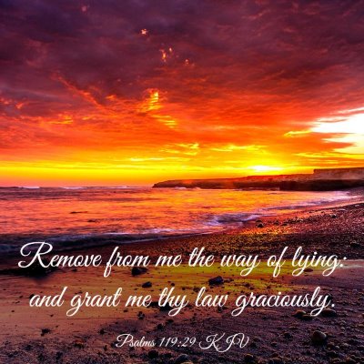 Picture 03 - Psalms 119:29 KJV - Remove from me the way of lying: and grant me thy - Bible Verse Picture