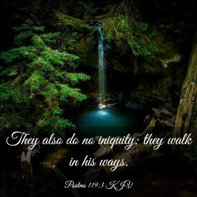 Picture 03 - Psalms 119:3 KJV - They also do no iniquity: they walk in his - Bible Verse Picture