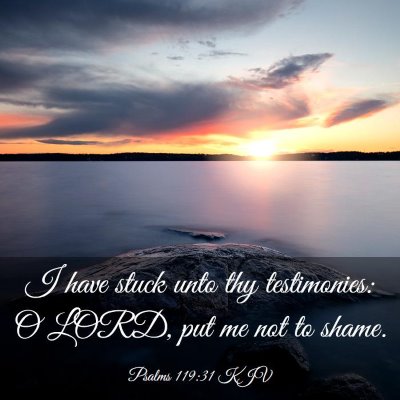 Picture 03 - Psalms 119:31 KJV - I have stuck unto thy testimonies: O LORD, put me - Bible Verse Picture