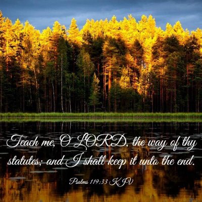 Picture 03 - Psalms 119:33 KJV - Teach me, O LORD, the way of thy statutes; and I - Bible Verse Picture