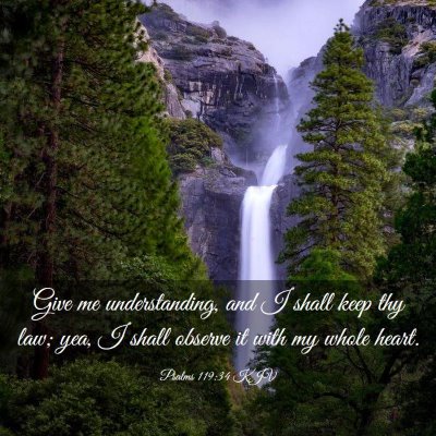 Picture 03 - Psalms 119:34 KJV - Give me understanding, and I shall keep thy law; - Bible Verse Picture