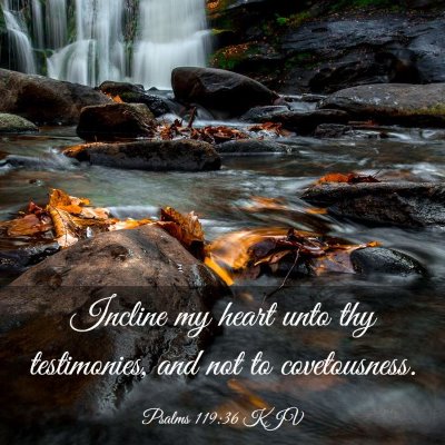 Picture 03 - Psalms 119:36 KJV - Incline my heart unto thy testimonies, and not to - Bible Verse Picture
