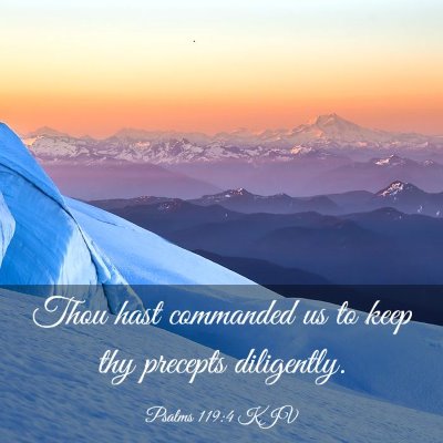 Picture 03 - Psalms 119:4 KJV - Thou hast commanded us to keep thy precepts - Bible Verse Picture