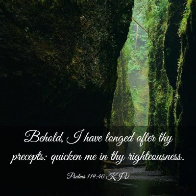 Picture 03 - Psalms 119:40 KJV - Behold, I have longed after thy precepts: quicken - Bible Verse Picture