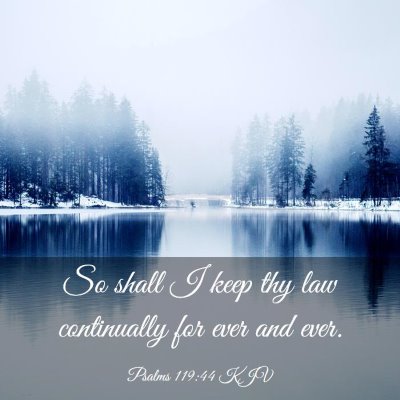Picture 03 - Psalms 119:44 KJV - So shall I keep thy law continually for ever and - Bible Verse Picture