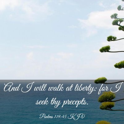 Picture 03 - Psalms 119:45 KJV - And I will walk at liberty: for I seek thy - Bible Verse Picture