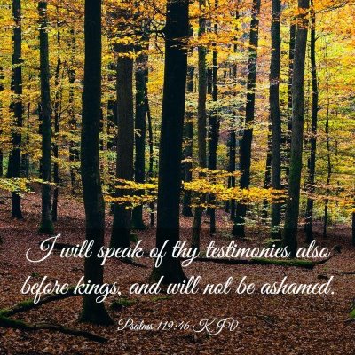 Picture 03 - Psalms 119:46 KJV - I will speak of thy testimonies also before - Bible Verse Picture