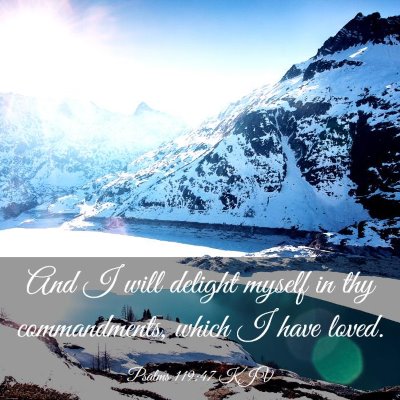 Picture 03 - Psalms 119:47 KJV - And I will delight myself in thy commandments, - Bible Verse Picture