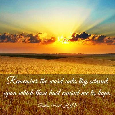 Picture 03 - Psalms 119:49 KJV - Remember the word unto thy servant, upon which - Bible Verse Picture