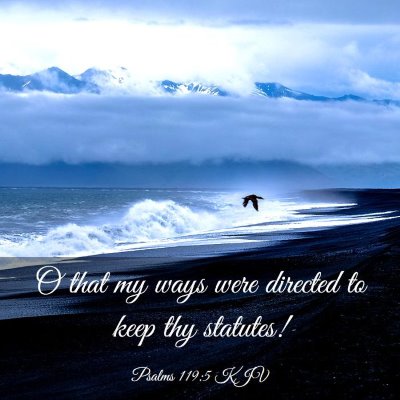 Picture 03 - Psalms 119:5 KJV - O that my ways were directed to keep thy - Bible Verse Picture